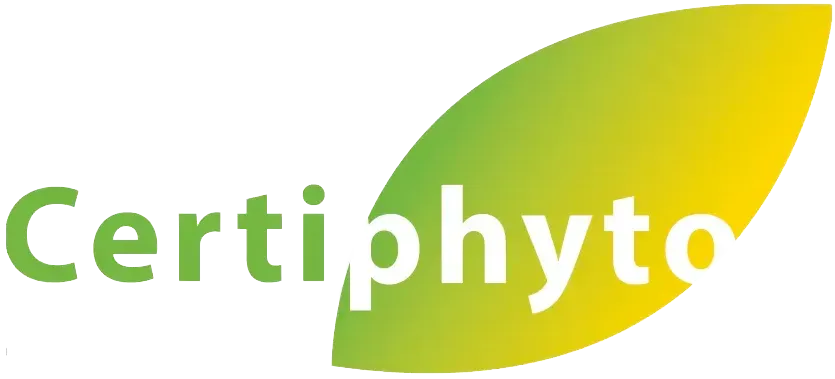 certyphito